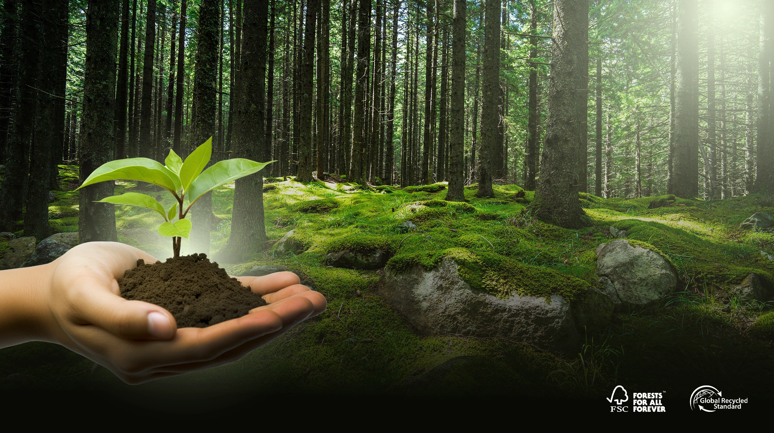 Hands holding soil and a sapling in a forest, with FSC and GRS marks.
