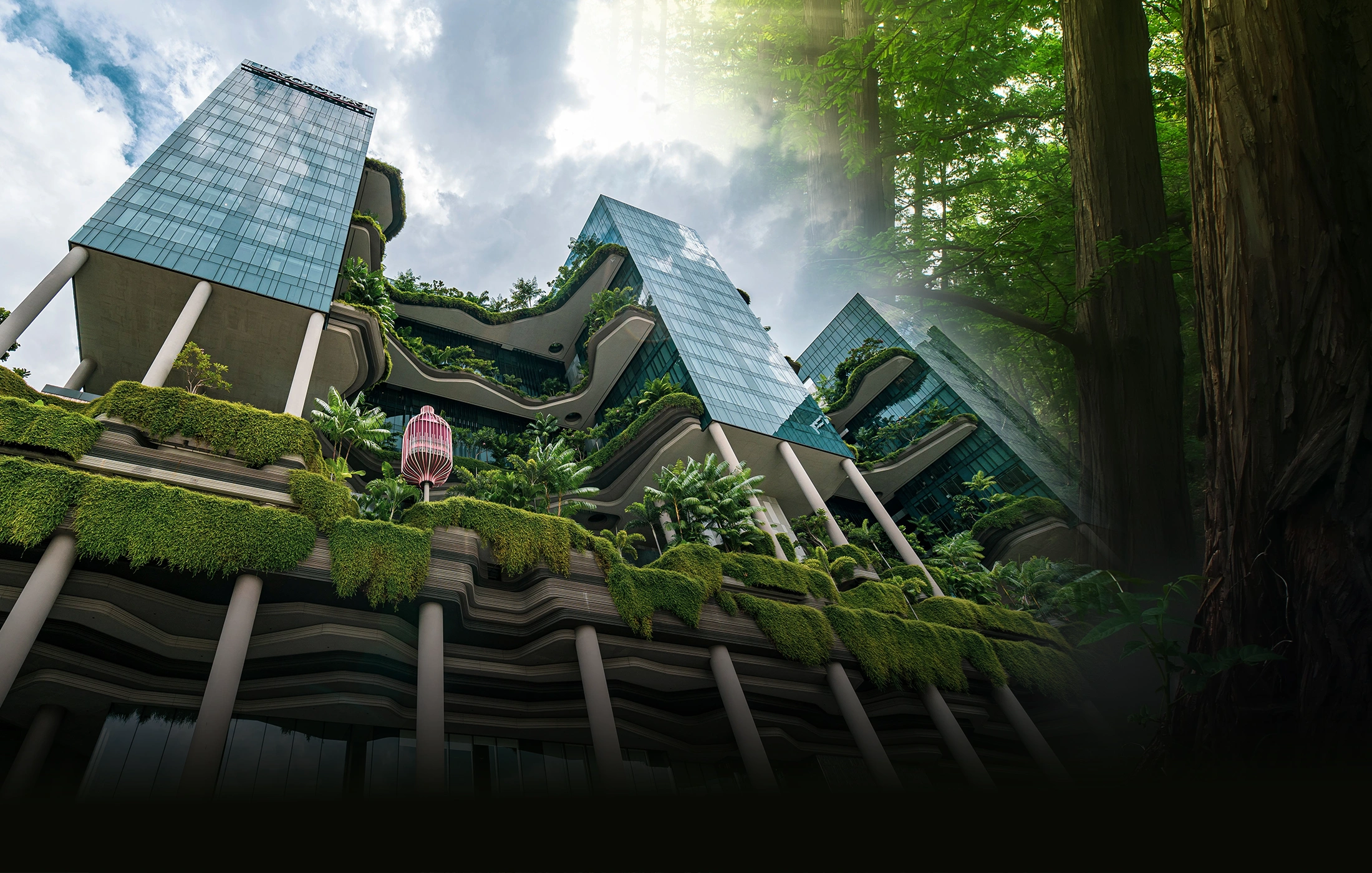 Green architecture blended into a mature forest landscape.